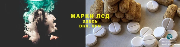 альфа пвп Гусев