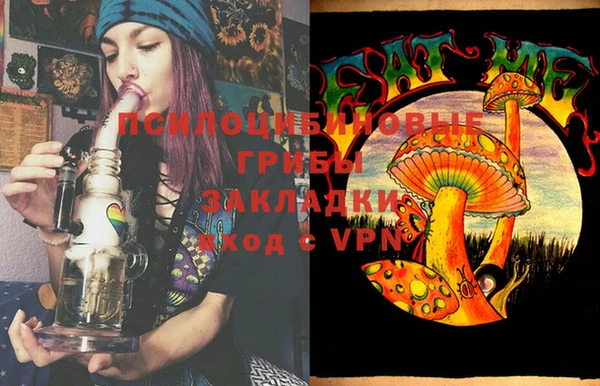 альфа пвп Гусев
