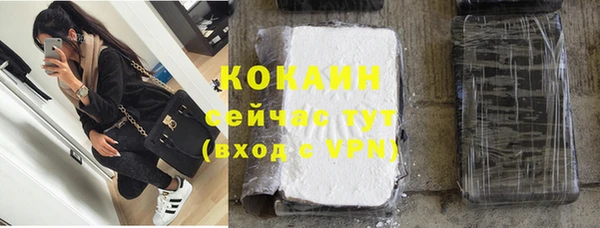 альфа пвп Гусев